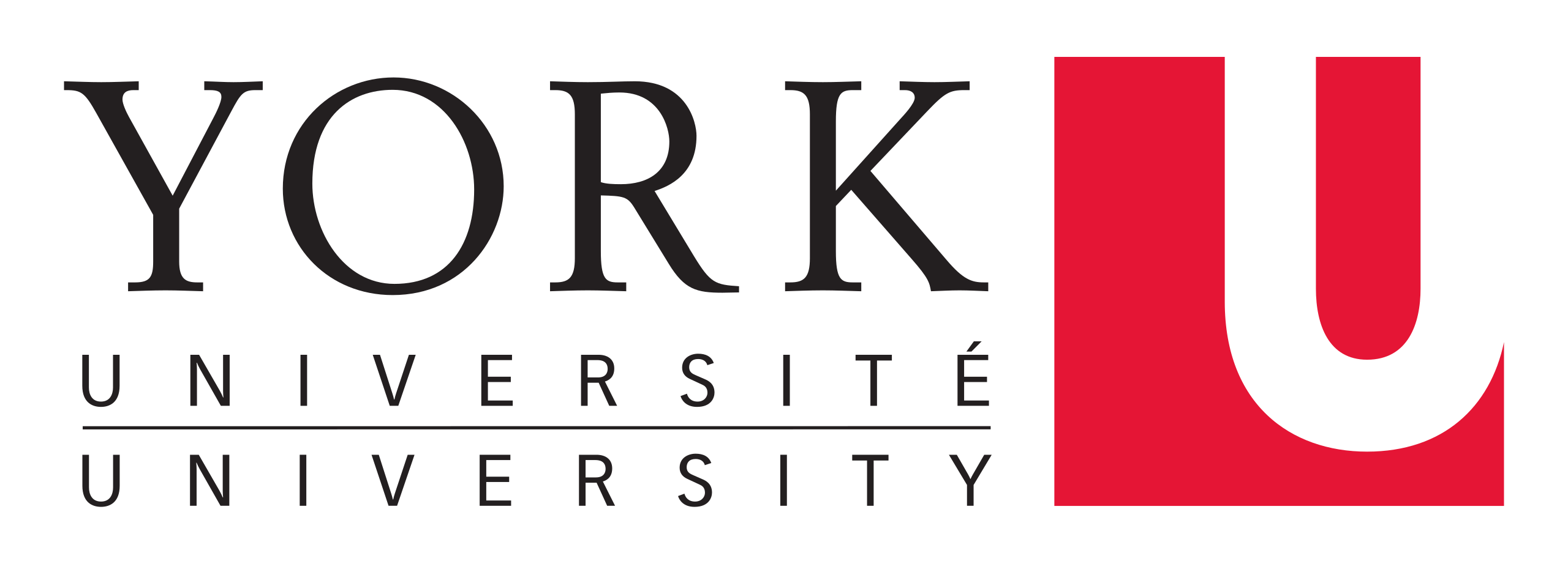 York-University-Logo.svg.png